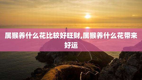 属猴养什么花比较好旺财,属猴养什么花带来好运