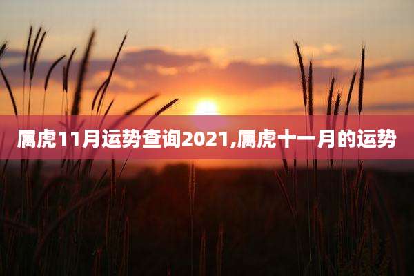 属虎11月运势查询2021,属虎十一月的运势