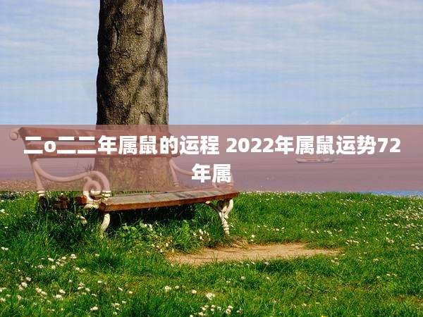 二o二二年属鼠的运程 2022年属鼠运势72年属