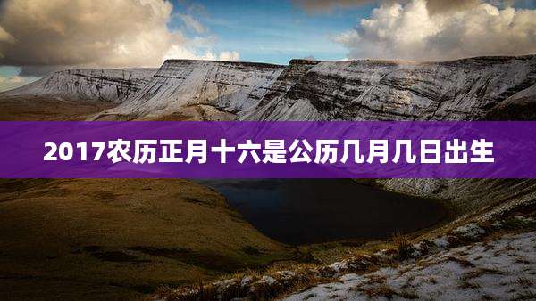 2017农历正月十六是公历几月几日出生