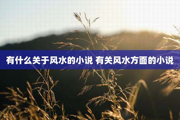 有什么关于风水的小说 有关风水方面的小说