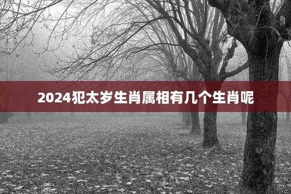 2024犯太岁生肖属相有几个生肖呢