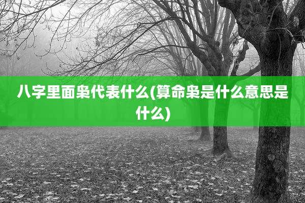 八字里面枭代表什么(算命枭是什么意思是什么)