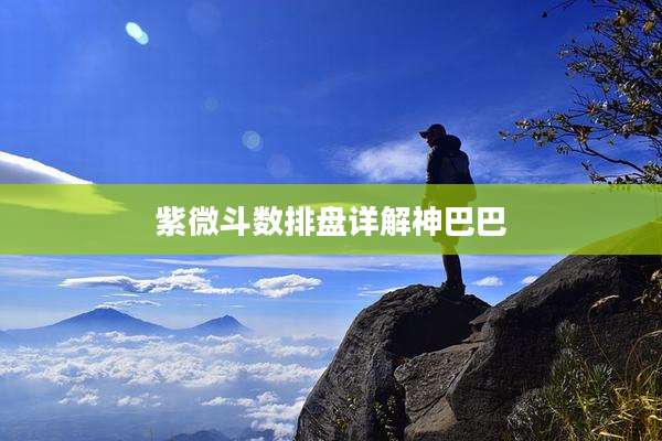 紫微斗数排盘详解神巴巴