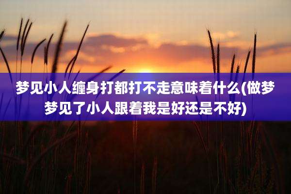 梦见小人缠身打都打不走意味着什么(做梦梦见了小人跟着我是好还是不好)