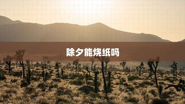 除夕能烧纸吗