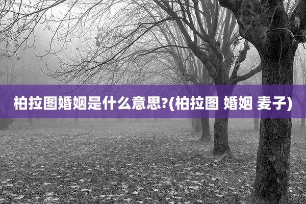 柏拉图婚姻是什么意思?(柏拉图 婚姻 麦子)