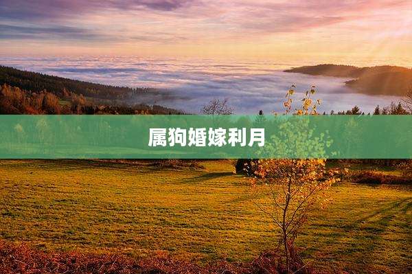 属狗婚嫁利月