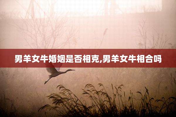 男羊女牛婚姻是否相克,男羊女牛相合吗