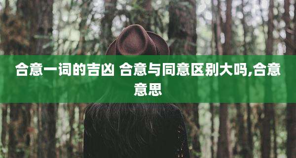 合意一词的吉凶 合意与同意区别大吗,合意意思