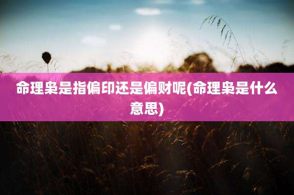命理枭是指偏印还是偏财呢(命理枭是什么意思)