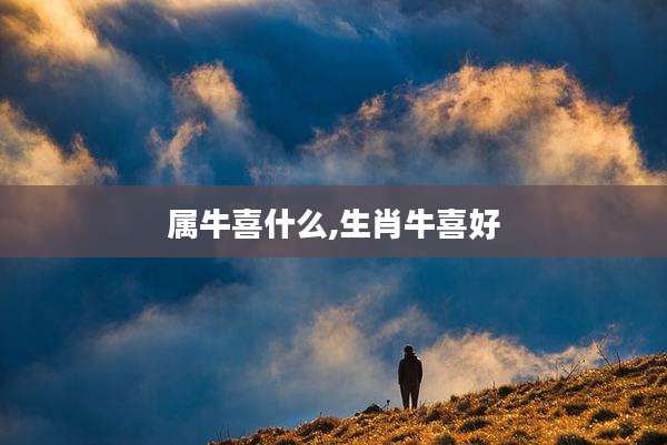 属牛喜什么,生肖牛喜好