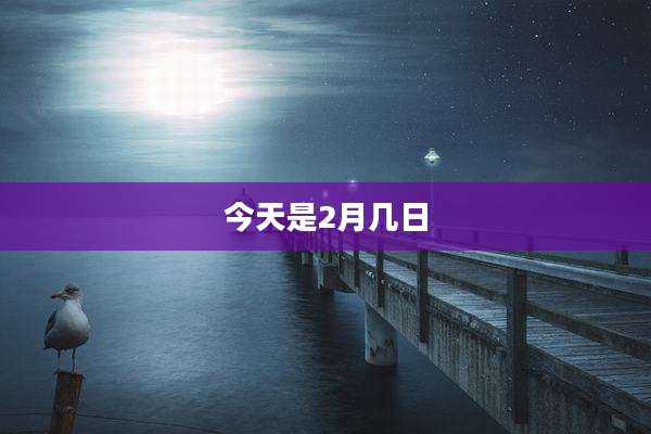 今天是2月几日