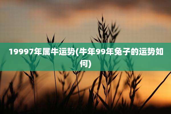 19997年属牛运势(牛年99年兔子的运势如何)
