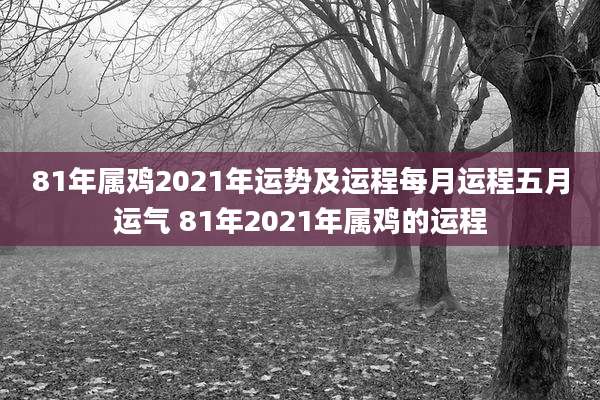 81年属鸡2021年运势及运程每月运程五月运气 81年2021年属鸡的运程