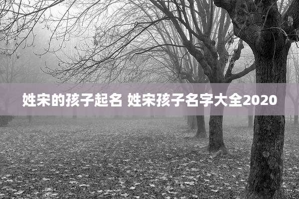 姓宋的孩子起名 姓宋孩子名字大全2020