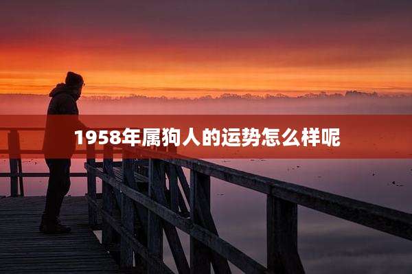 1958年属狗人的运势怎么样呢