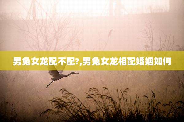 男兔女龙配不配?,男兔女龙相配婚姻如何