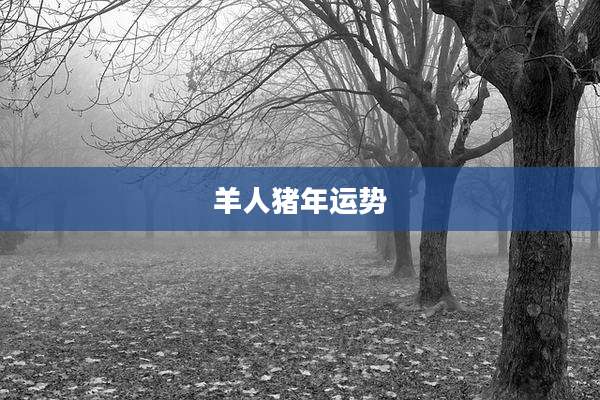 羊人猪年运势