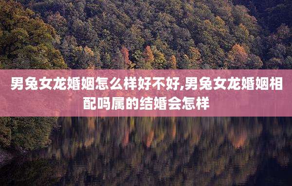 男兔女龙婚姻怎么样好不好,男兔女龙婚姻相配吗属的结婚会怎样