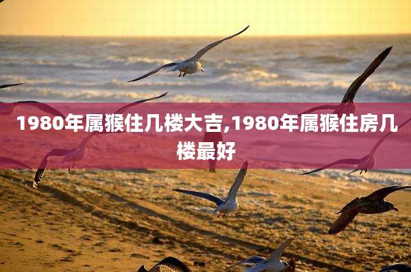 1980年属猴住几楼大吉,1980年属猴住房几楼最好