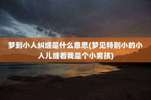 梦到小人纠缠是什么意思(梦见特别小的小人儿缠着我是个小男孩)