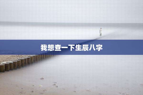 我想查一下生辰八字