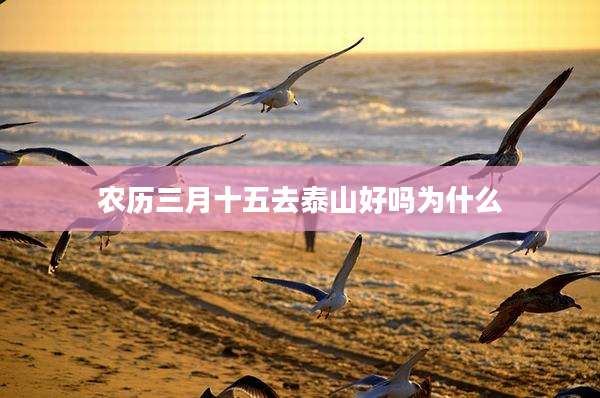 农历三月十五去泰山好吗为什么