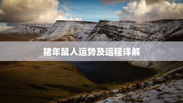 猪年鼠人运势及运程详解