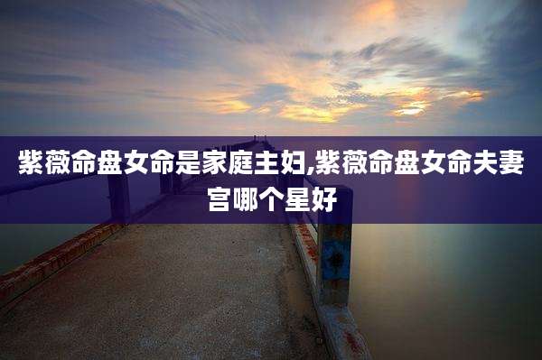 紫薇命盘女命是家庭主妇,紫薇命盘女命夫妻宫哪个星好