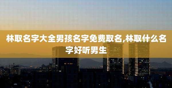 林取名字大全男孩名字免费取名,林取什么名字好听男生