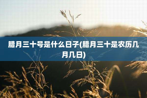 腊月三十号是什么日子(腊月三十是农历几月几日)