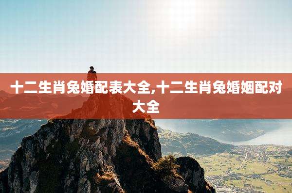 十二生肖兔婚配表大全,十二生肖兔婚姻配对大全