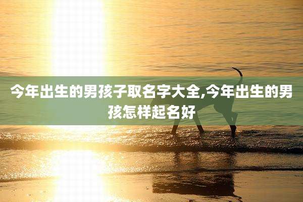 今年出生的男孩子取名字大全,今年出生的男孩怎样起名好