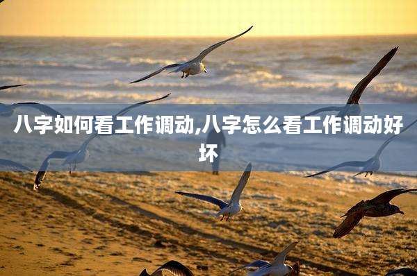 八字如何看工作调动,八字怎么看工作调动好坏