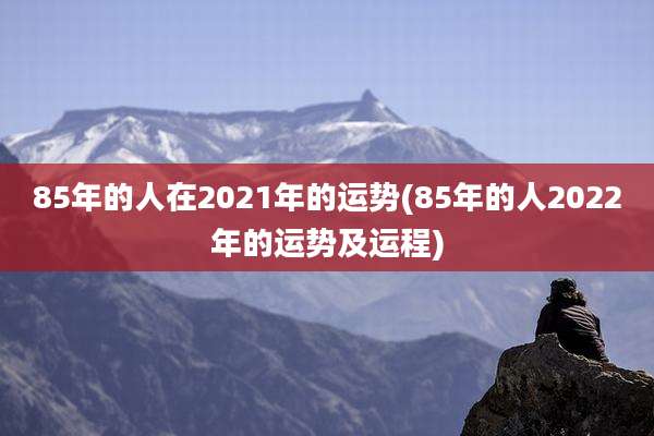 85年的人在2021年的运势(85年的人2022年的运势及运程)