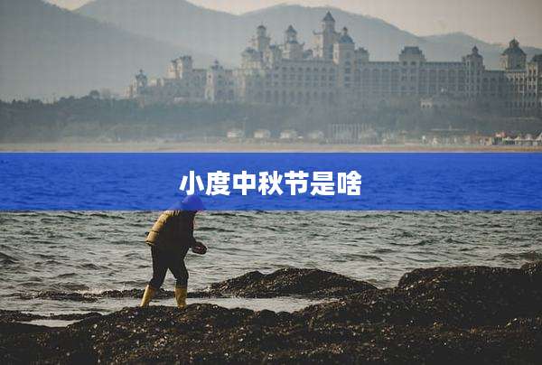 小度中秋节是啥