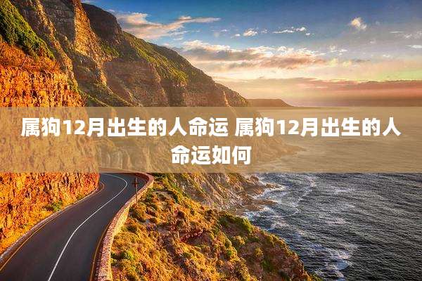属狗12月出生的人命运 属狗12月出生的人命运如何
