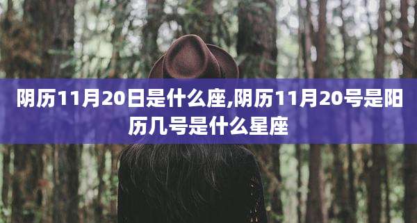 阴历11月20日是什么座,阴历11月20号是阳历几号是什么星座