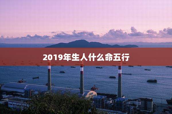 2019年生人什么命五行