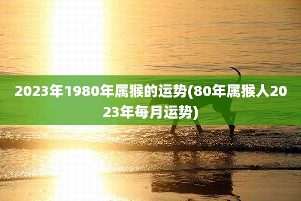 2023年1980年属猴的运势(80年属猴人2023年每月运势)