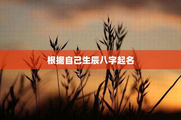 根据自己生辰八字起名