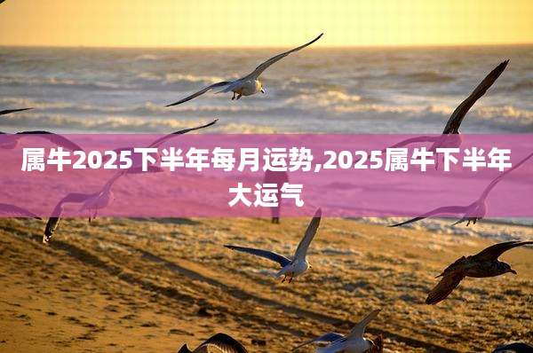 属牛2025下半年每月运势,2025属牛下半年大运气