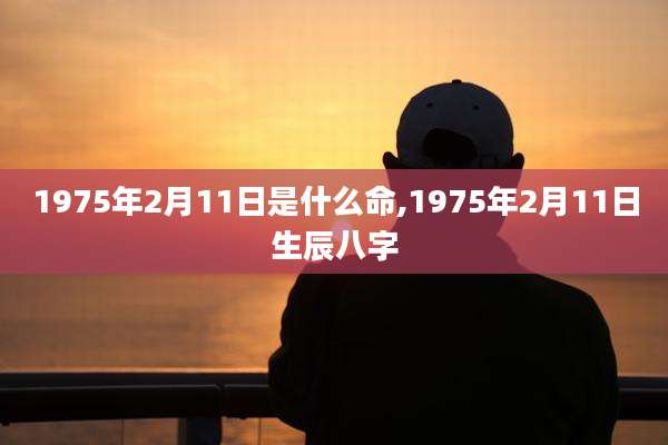 1975年2月11日是什么命,1975年2月11日生辰八字