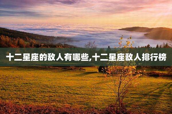 十二星座的敌人有哪些,十二星座敌人排行榜