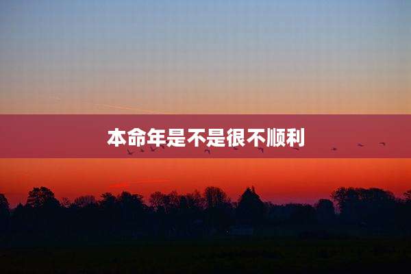 本命年是不是很不顺利