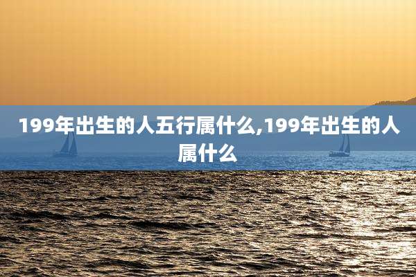 199年出生的人五行属什么,199年出生的人属什么