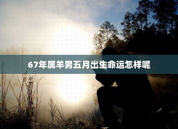 67年属羊男五月出生命运怎样呢