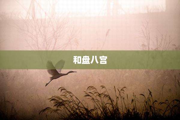 和盘八宫