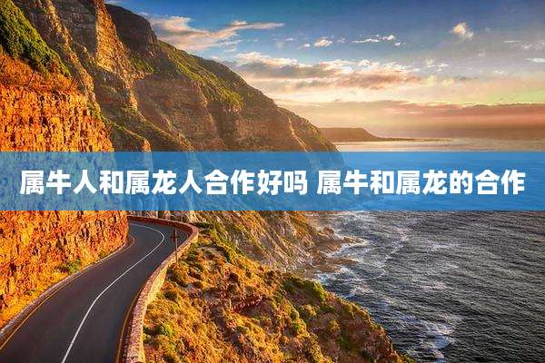 属牛人和属龙人合作好吗 属牛和属龙的合作